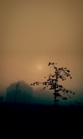Misty_sunrise_on_October_23.jpg
