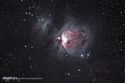 M42_.jpg