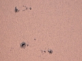 soare_3_dec_2011_c1.jpg