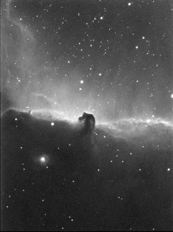 IC_434_Horsehead_Nebula.jpg