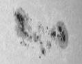 ar4055-2.jpg