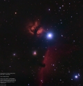 horsehead-final2.jpg