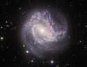 M83