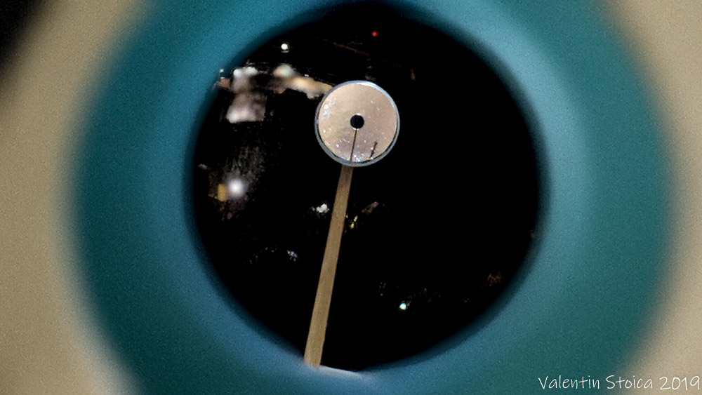 00100dPORTRAIT_00100_BURST20190306210758416_COVER.jpg