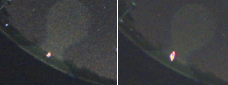 0198 0199.jpg
