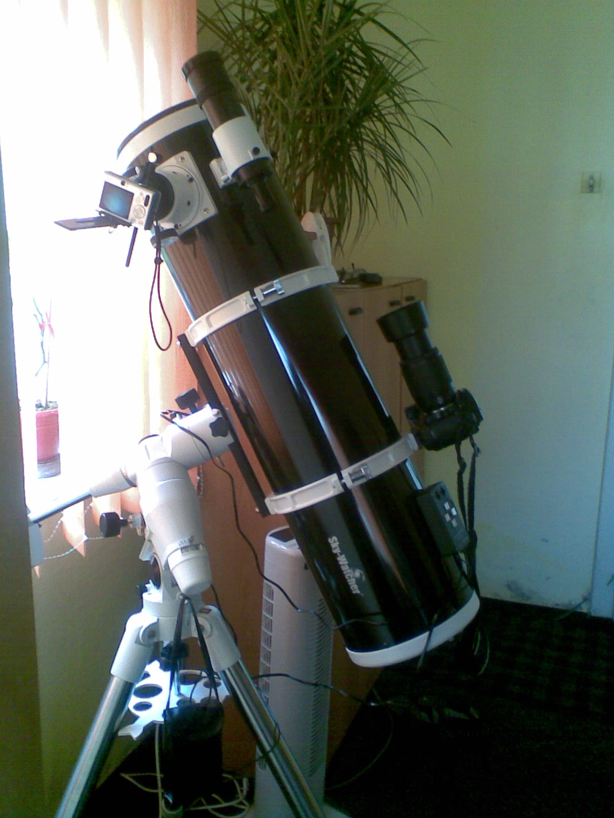 02042010(002).jpg
