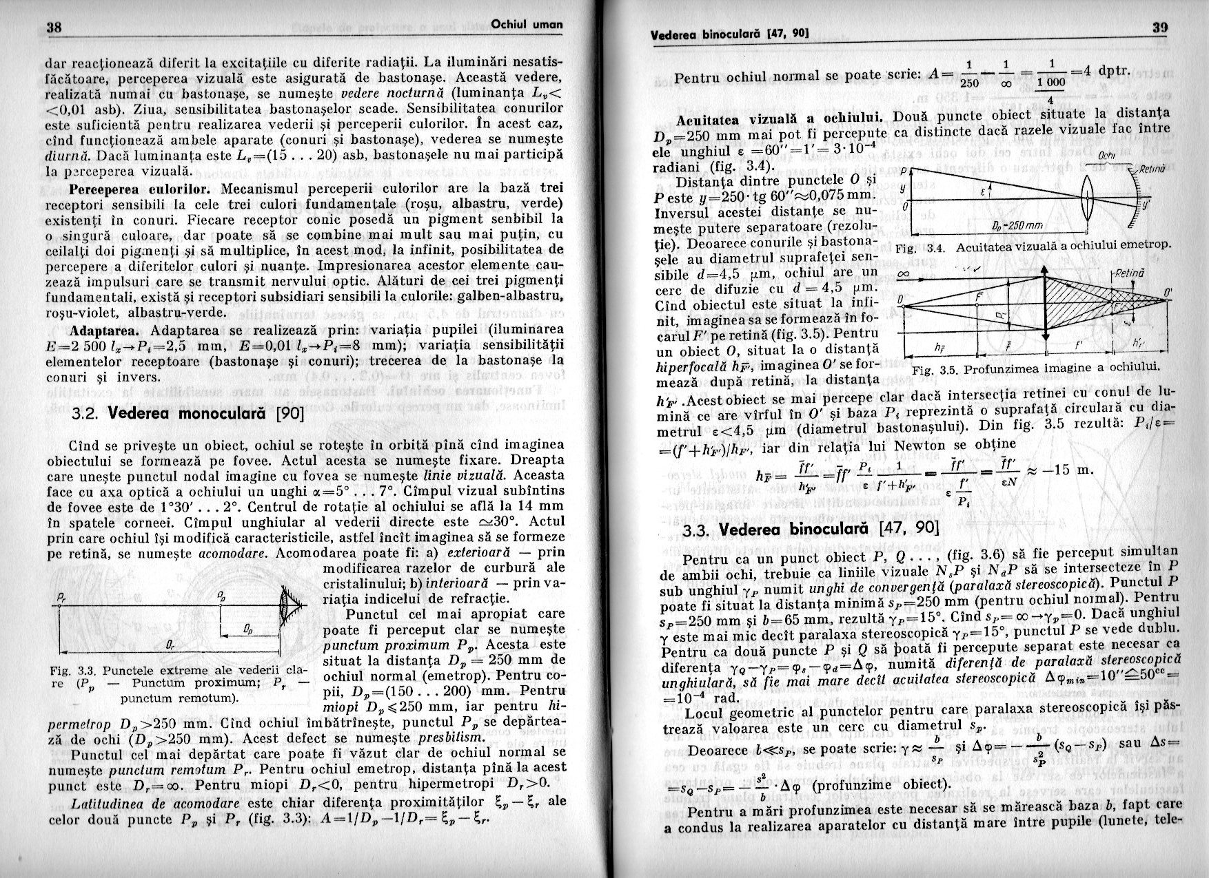 03 - Dodoc - stereoscopia.jpg