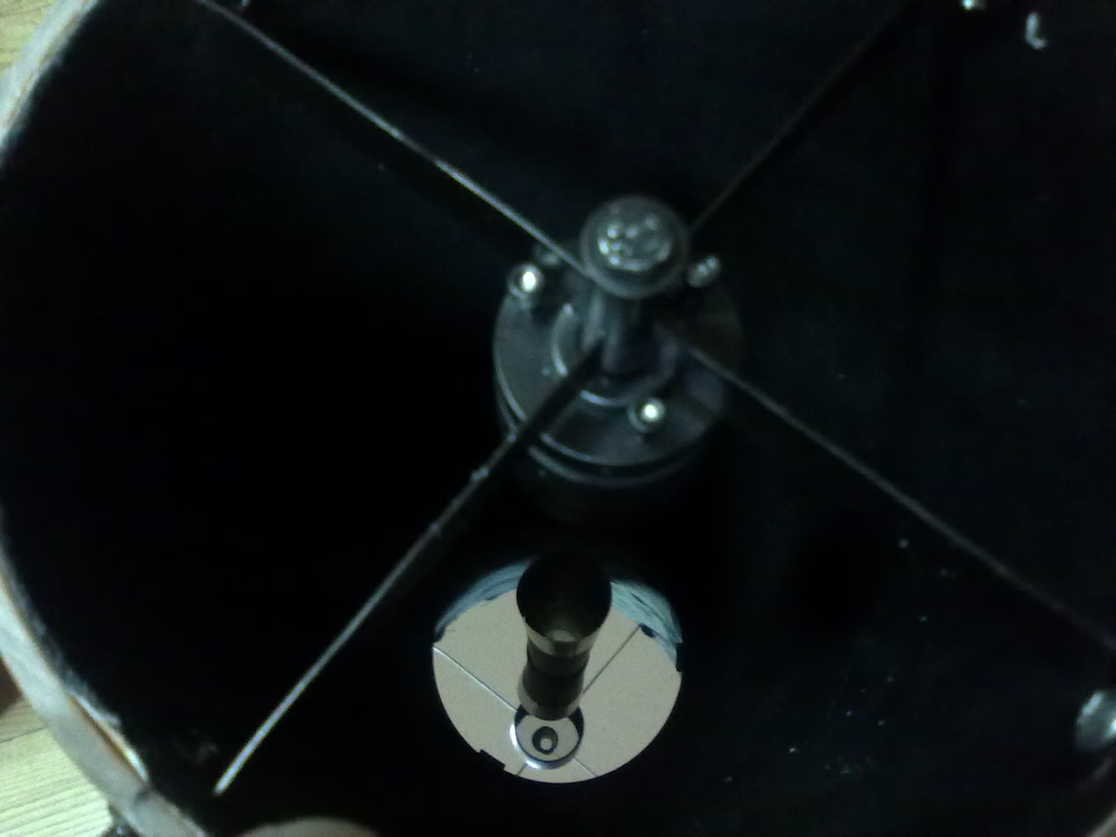10082010765.jpg