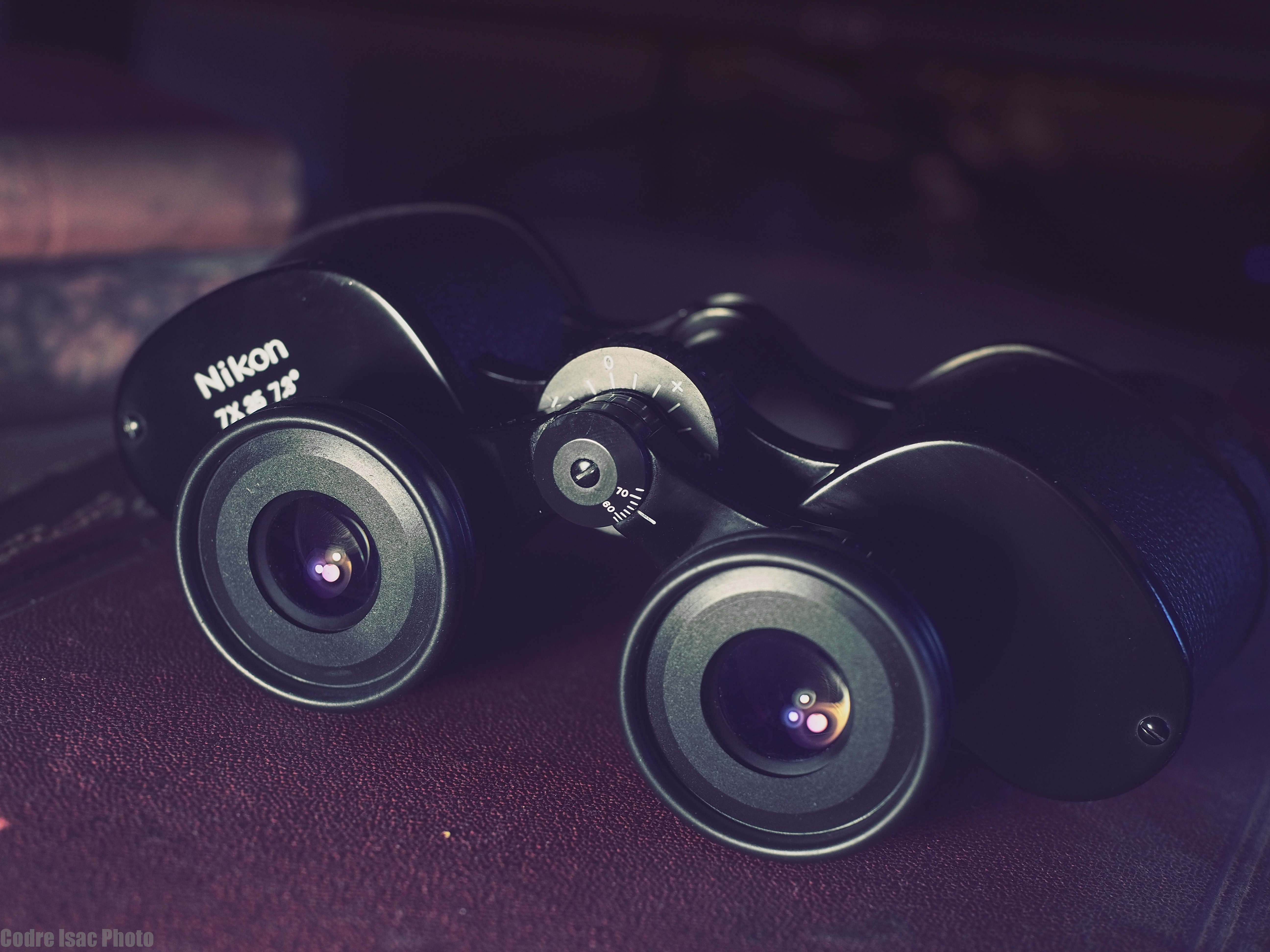 10 Nikon 7x35 E.jpg