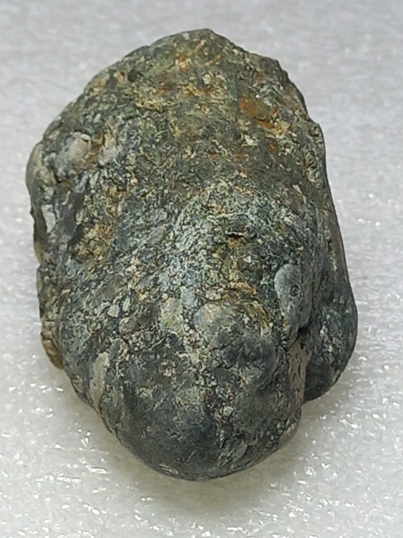 116.jpg