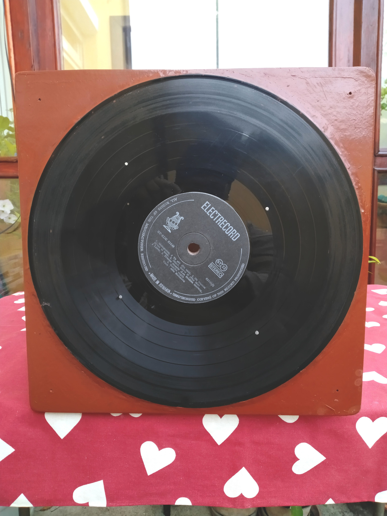14.DiscLP.axa.verticala.Vinyl.vertical.axis.jpg