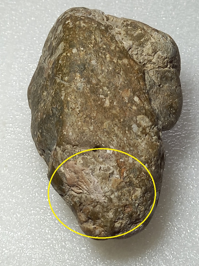 164.jpg