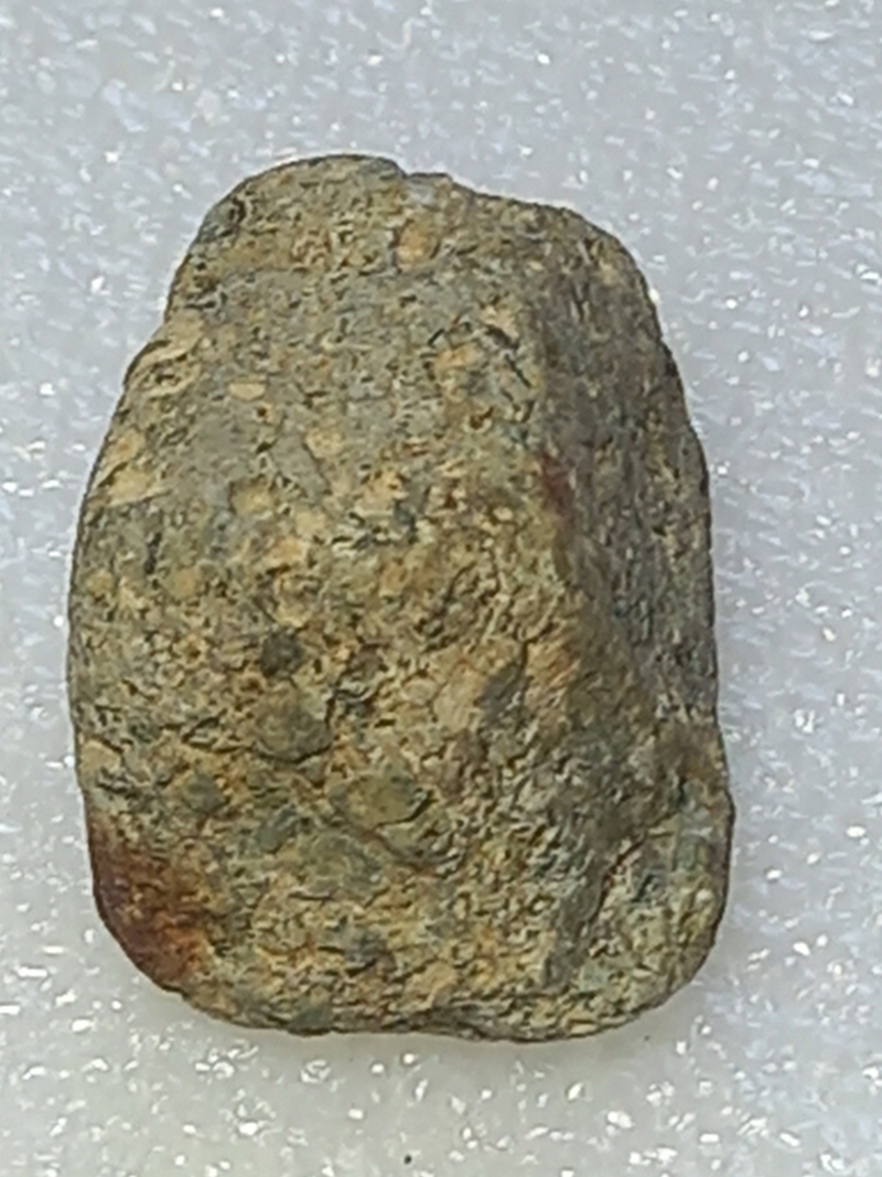 169.jpg
