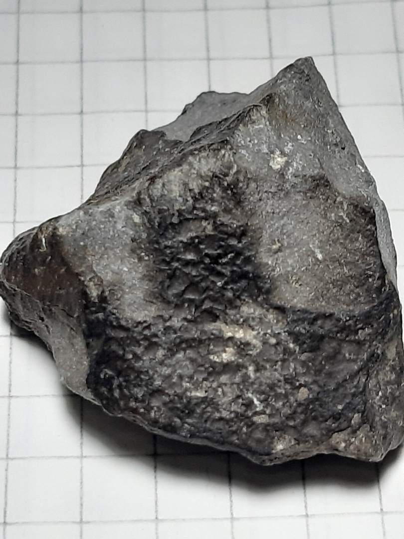 20190817_015437.jpg