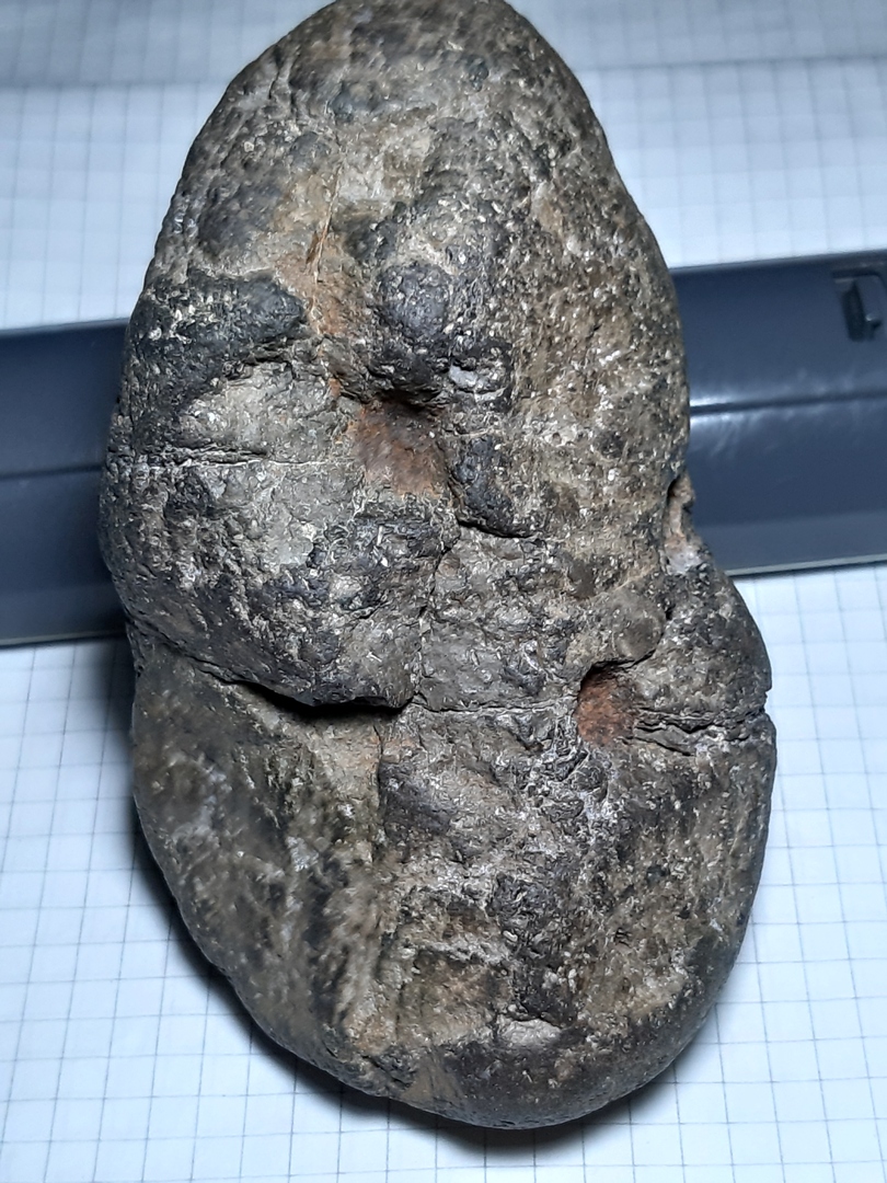 20190817_020853.jpg