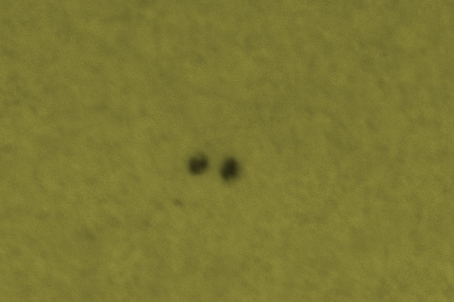2021-01-24-1325_2.jpg