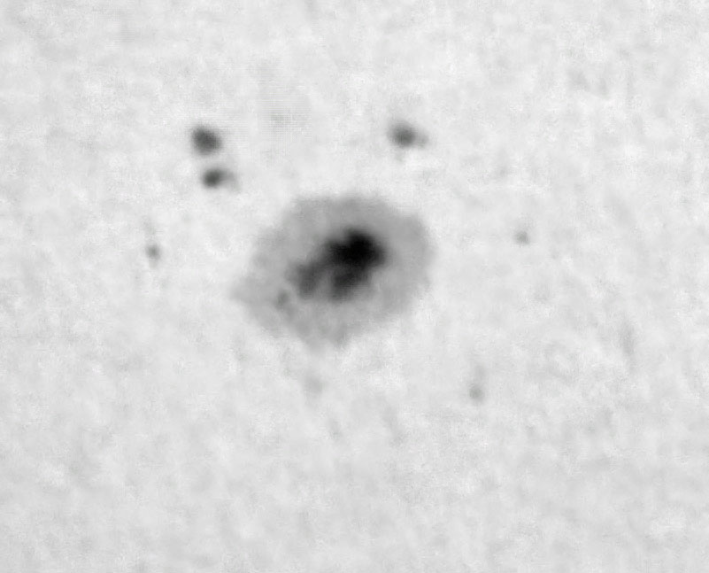 2021-05-23-1440Z12284.jpg