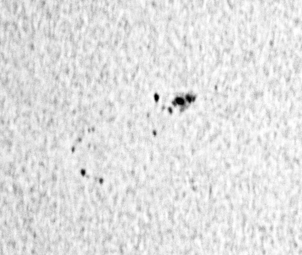 2021-06-05-1506_Z12829.jpg