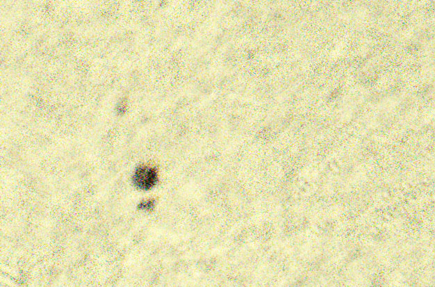 2021-06-06-1424_12829.jpg
