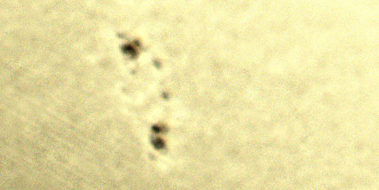 2021-06-06-1429_12828.jpg
