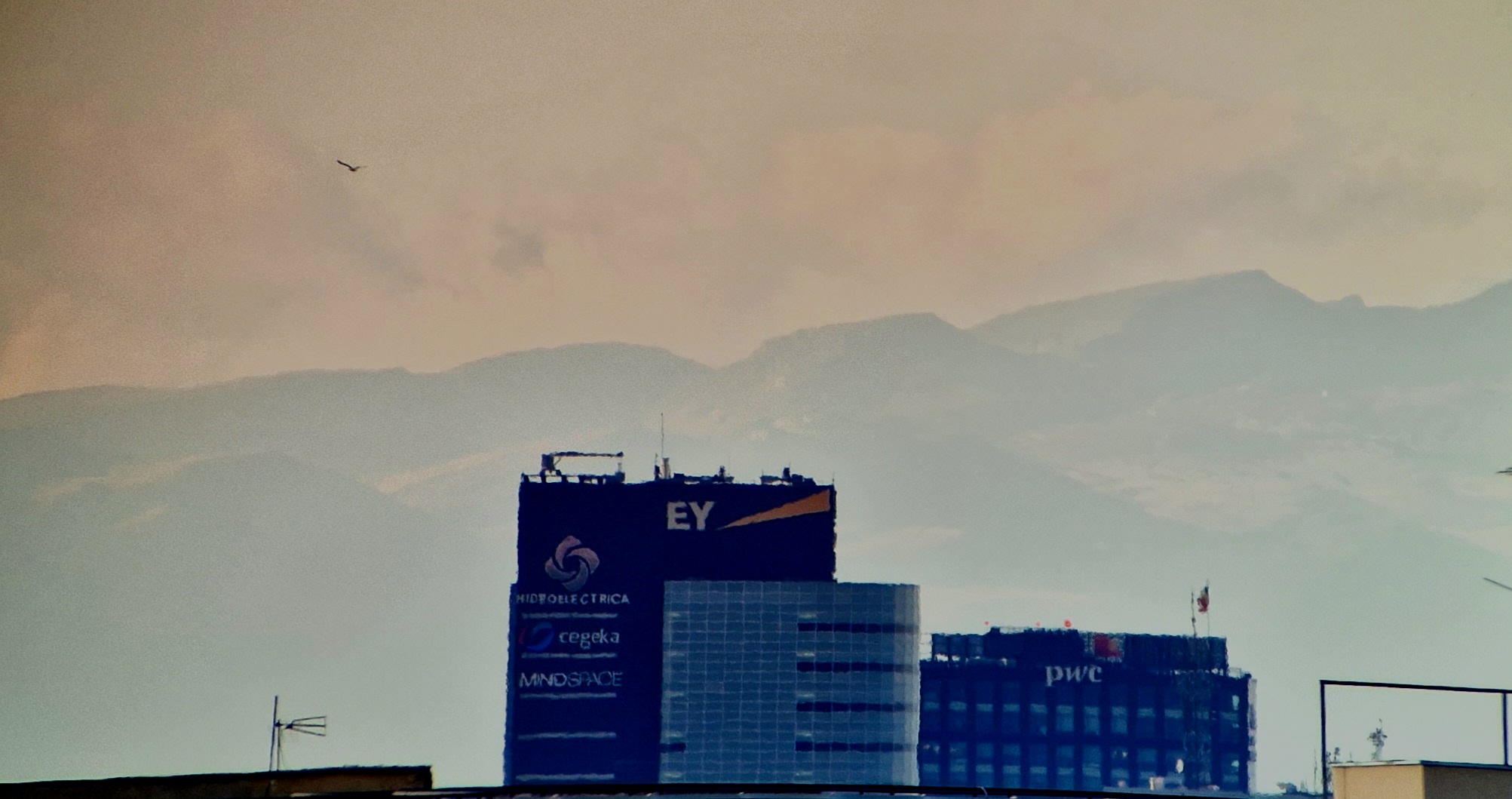 20220912_180451.jpg