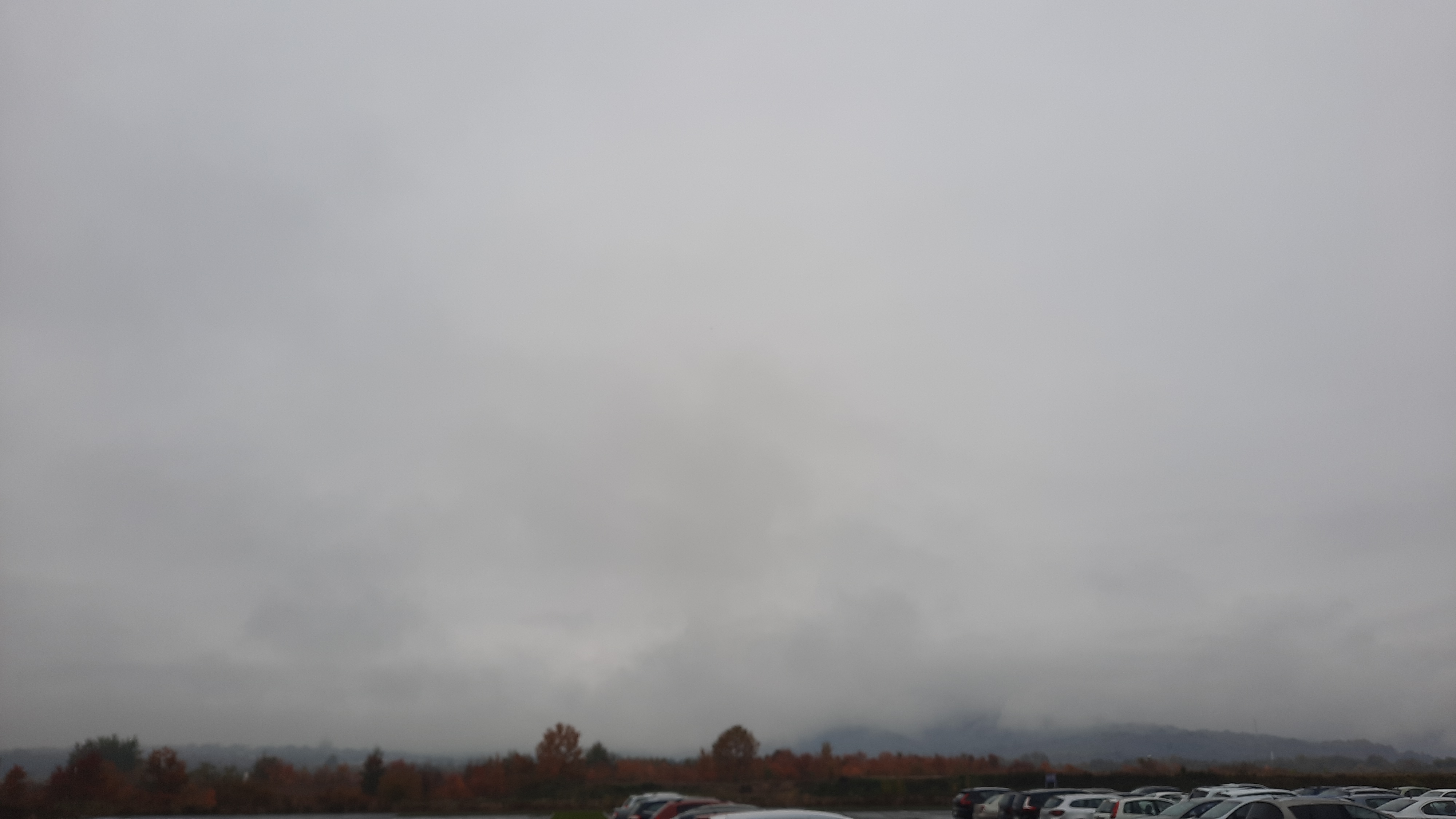 20221025_124226.jpg