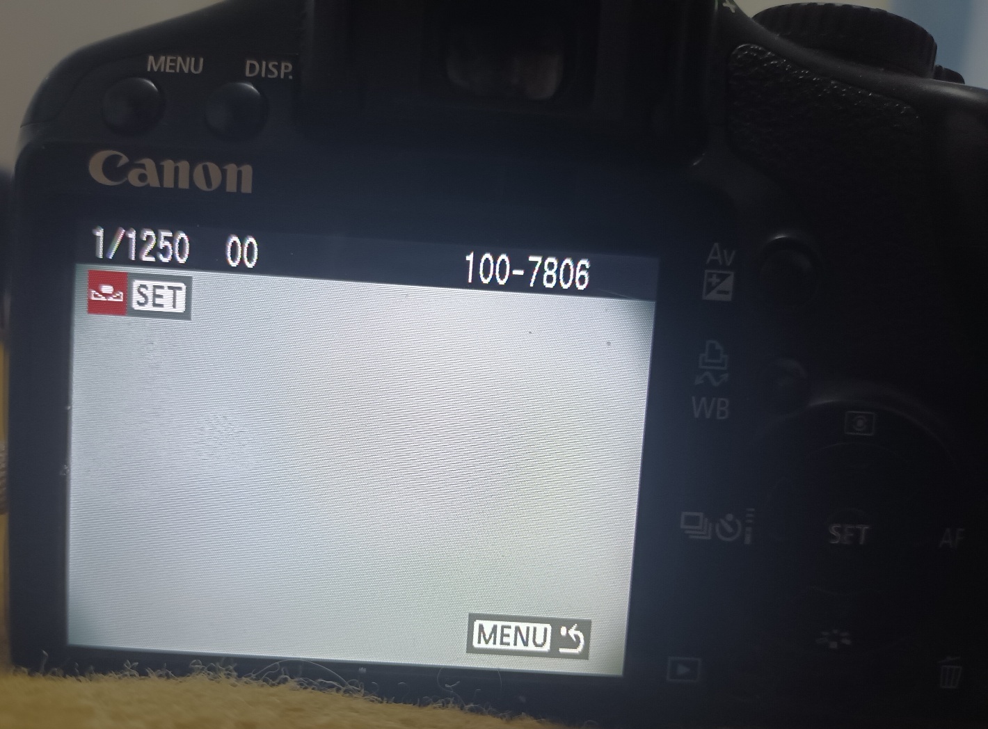 20230418_151847.jpg