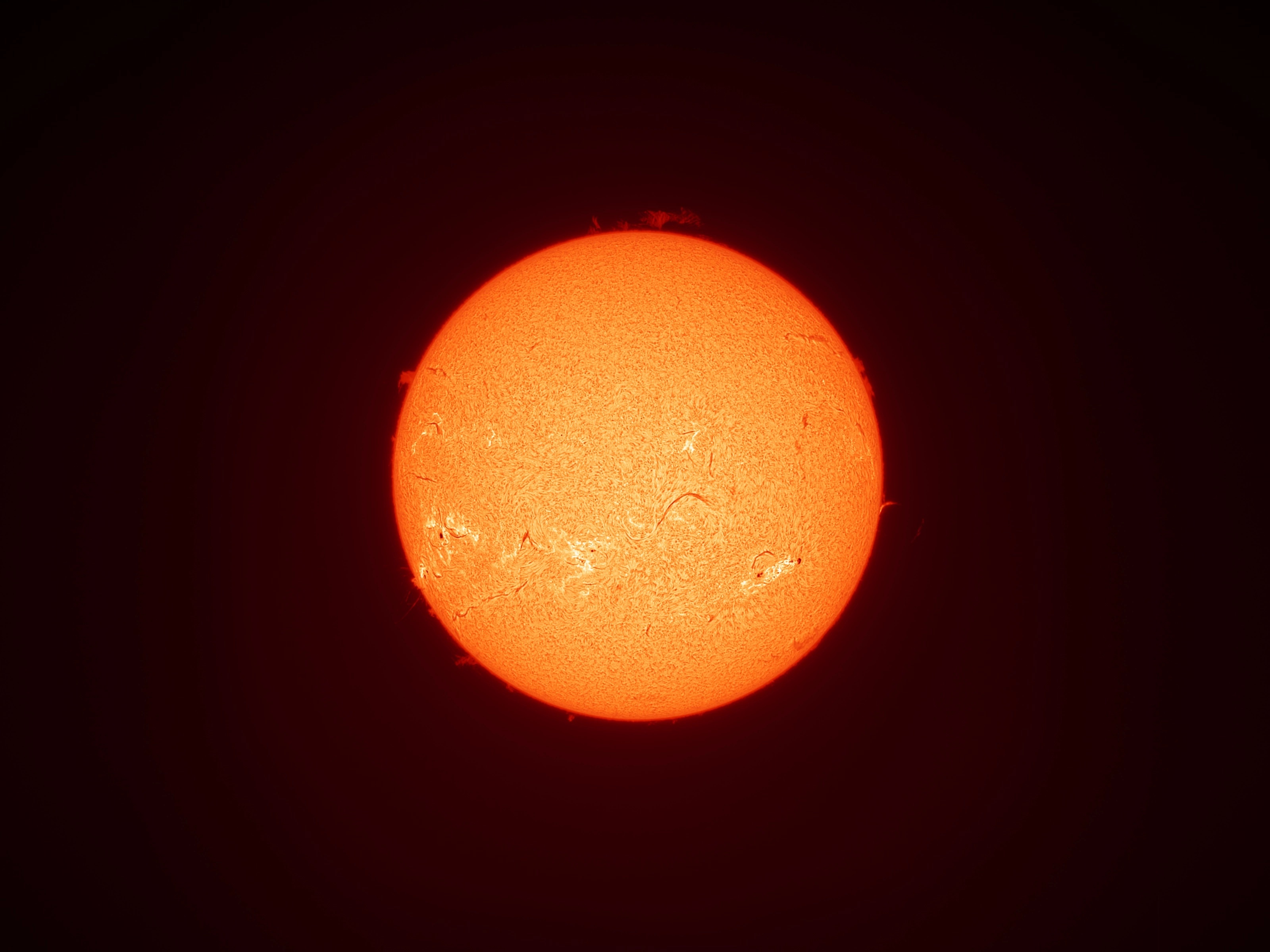 20240902_ha_LS60_sample.jpg