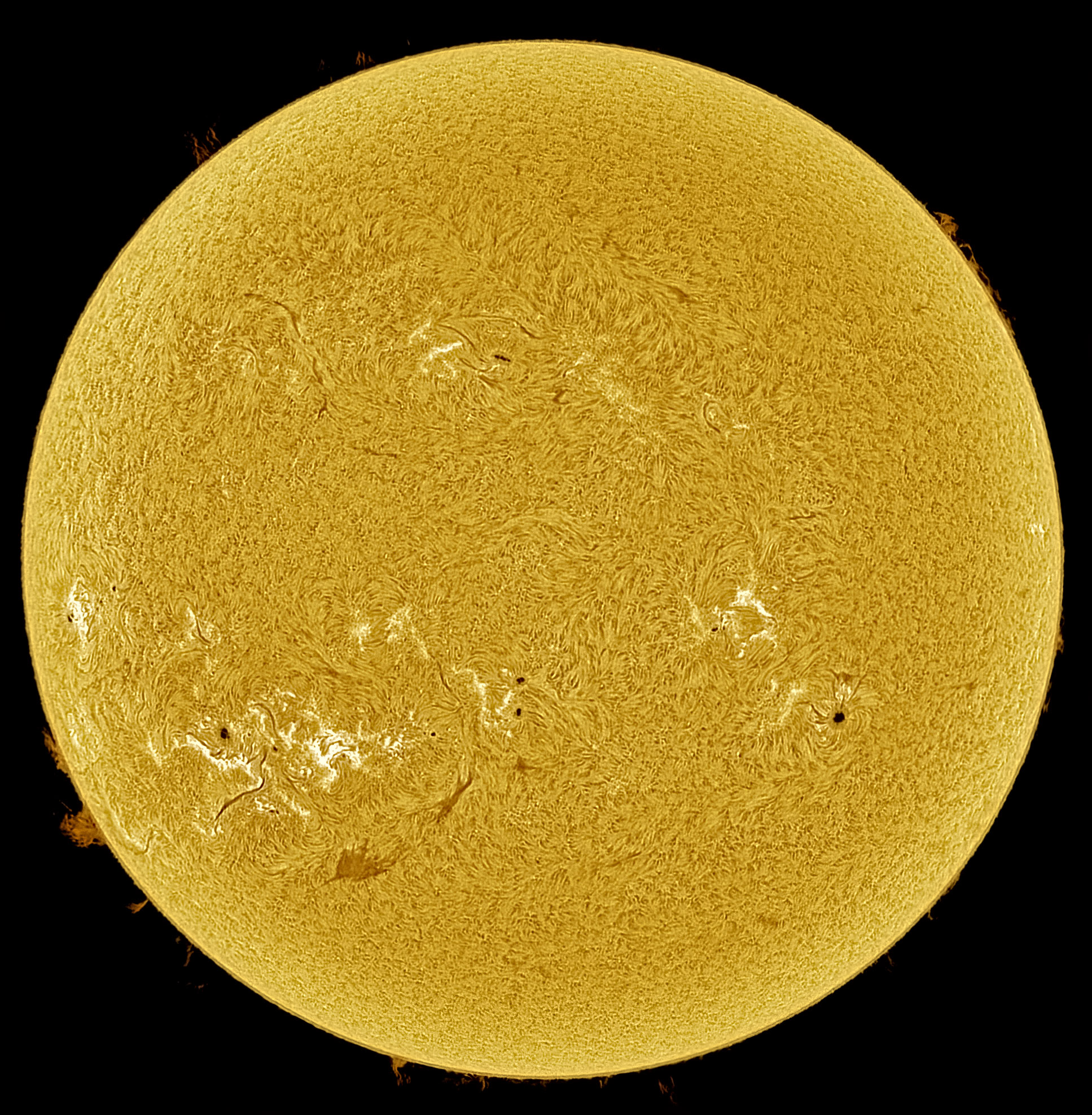 2024-06-27-1241_2-Ha-.jpg