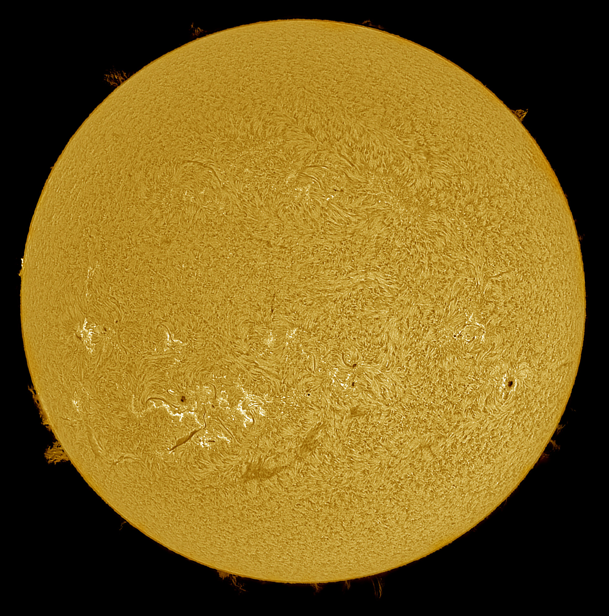 2024-06-28-1237_9-Ha.jpg