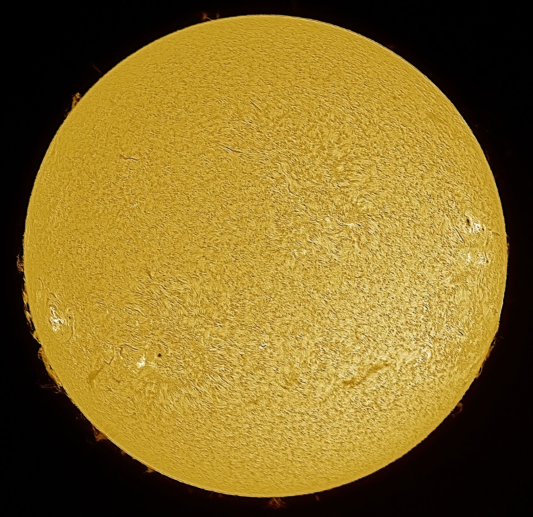 2024-07-06-1224_Ha.jpg