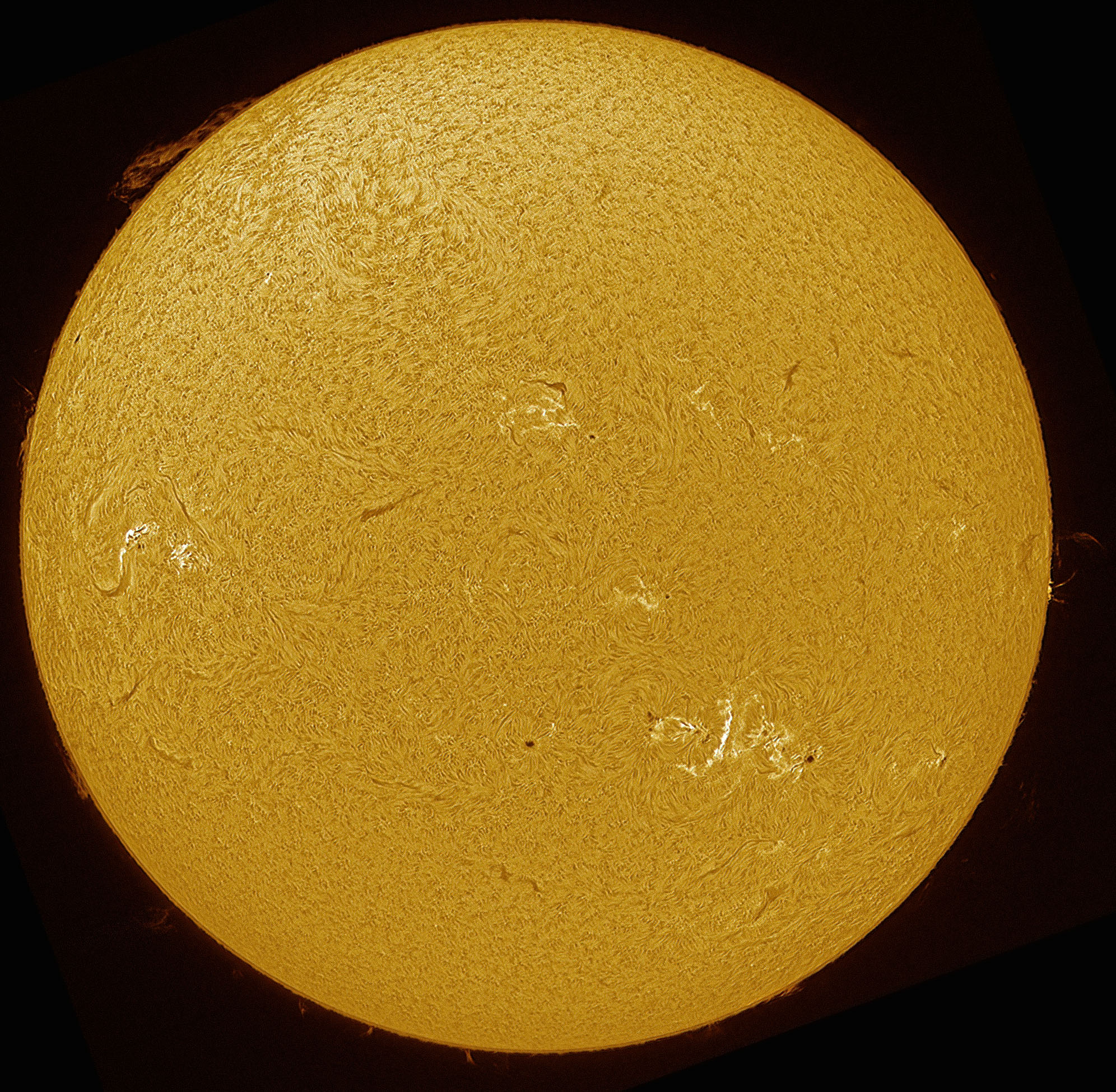 2024-07-22-1520_6-Ha.jpg