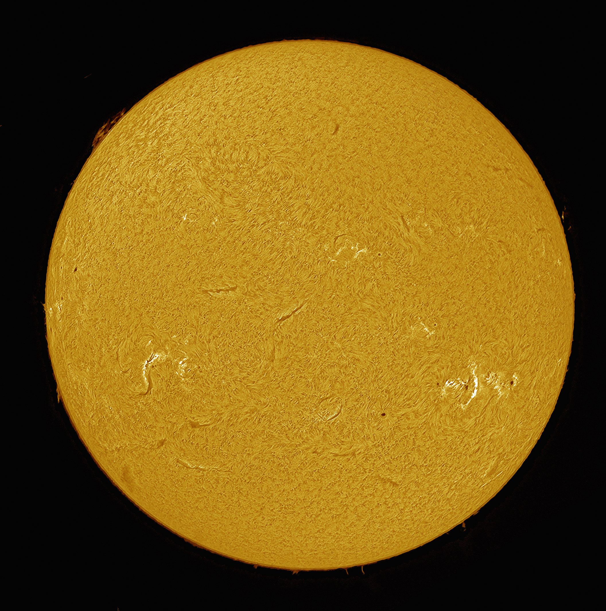 2024-07-23-1313_3-Ha.jpg