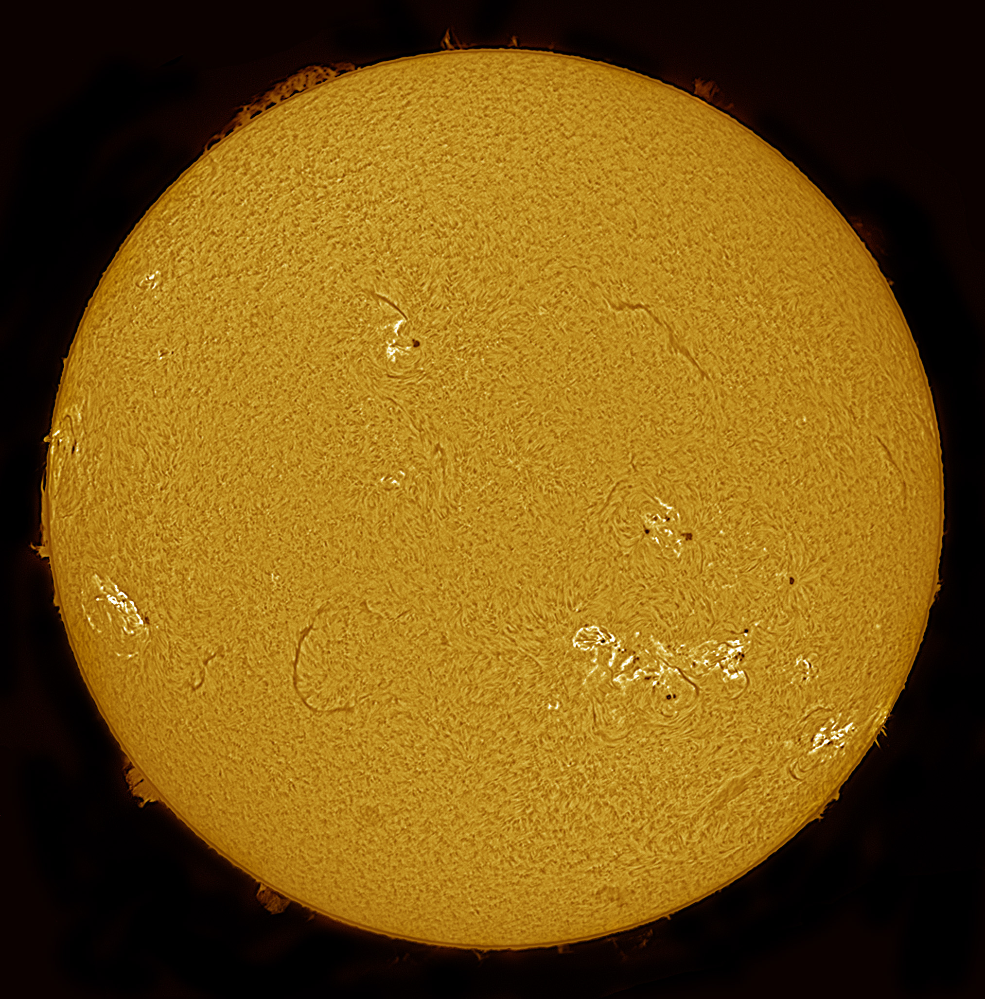 2024-07-31-1409_8-Ha.jpg