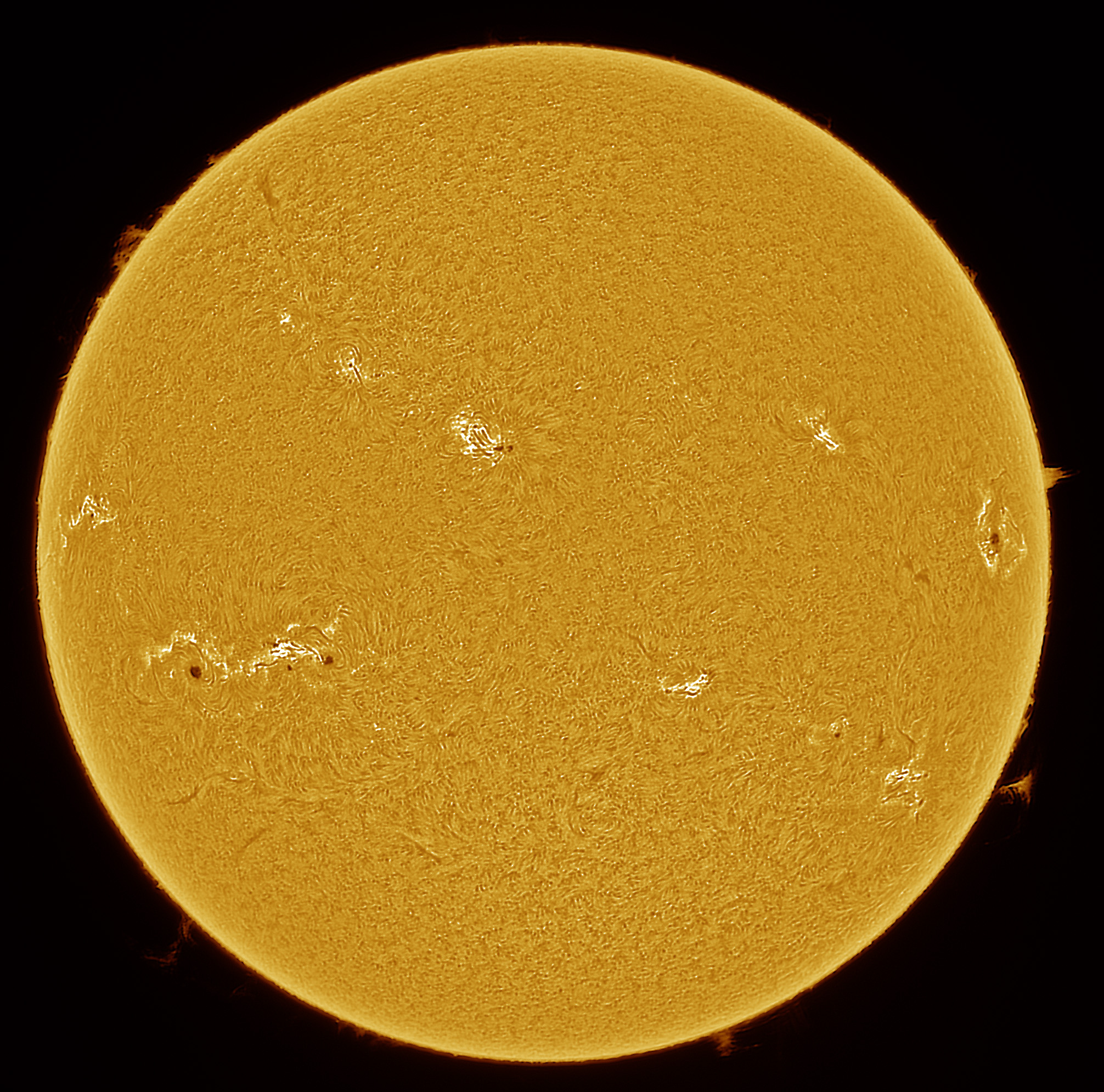 2024-08-19-1208_Ha.jpg