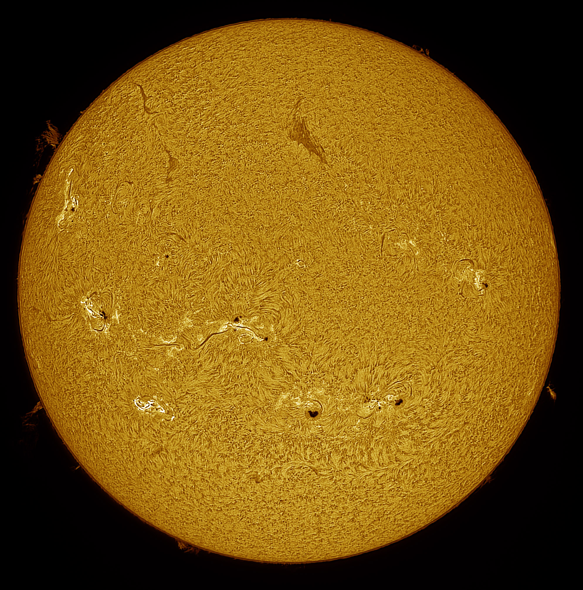 2024-08-23-1256_9-Ha.jpg