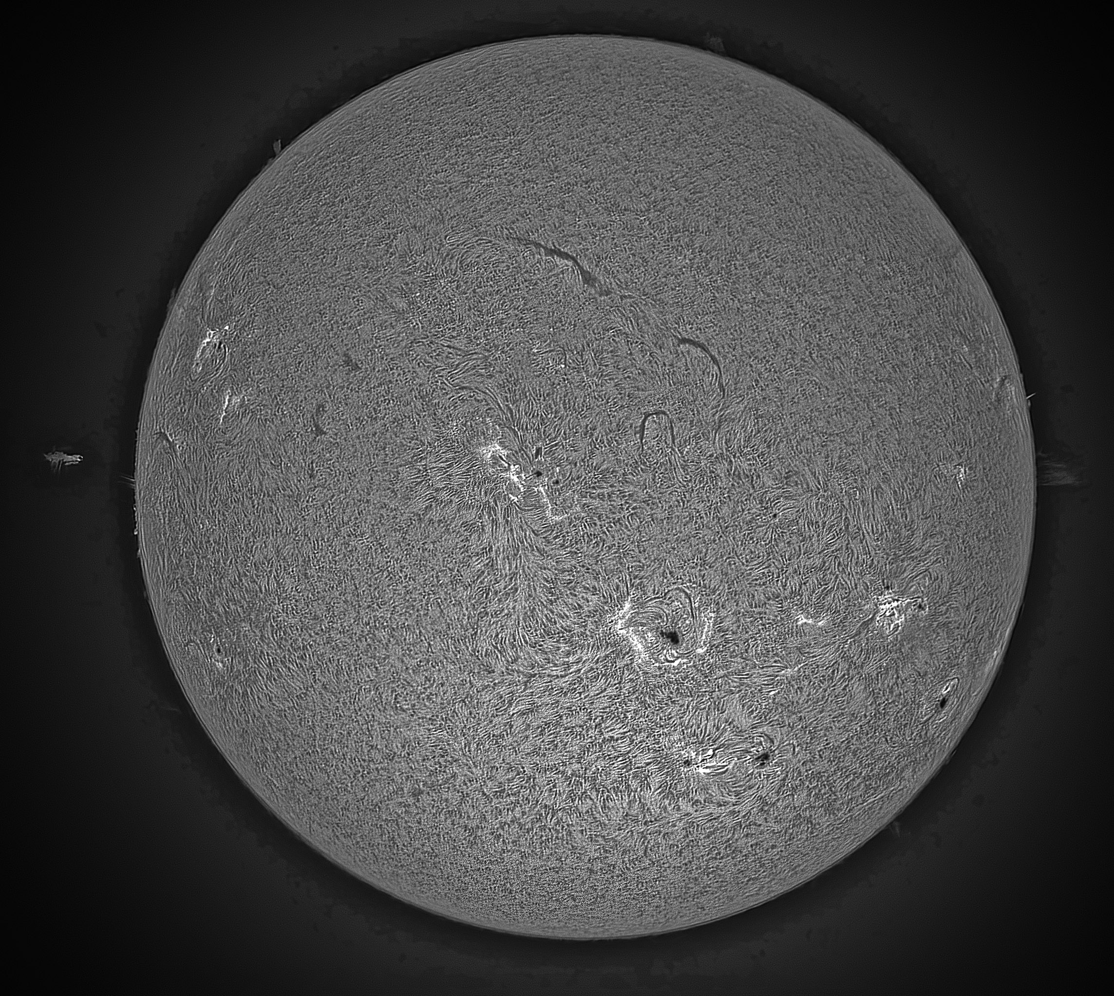 2024-08-27-1224Ha-Sun.jpg