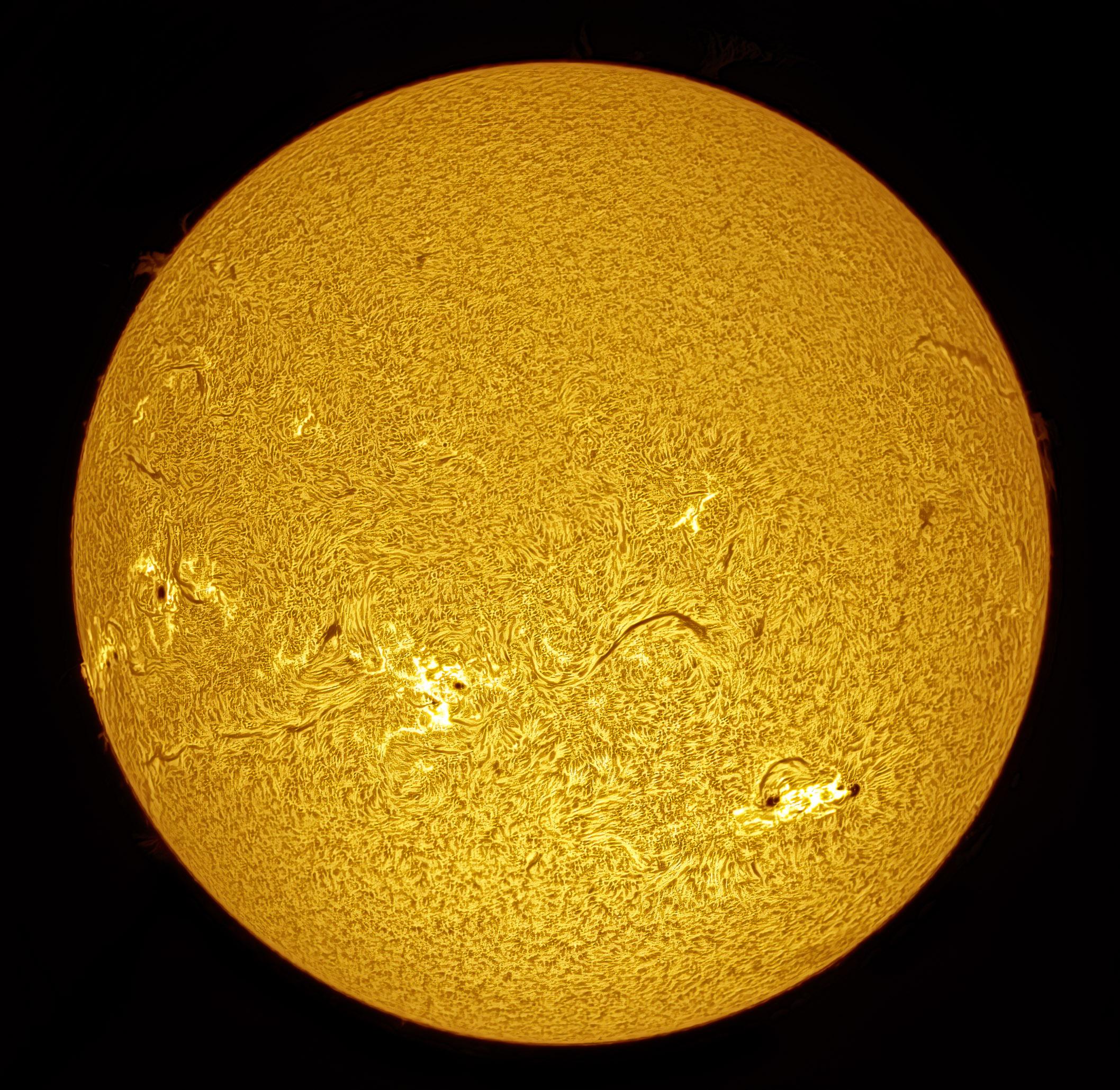 2024-09-02-1306Ha-Sun.jpg