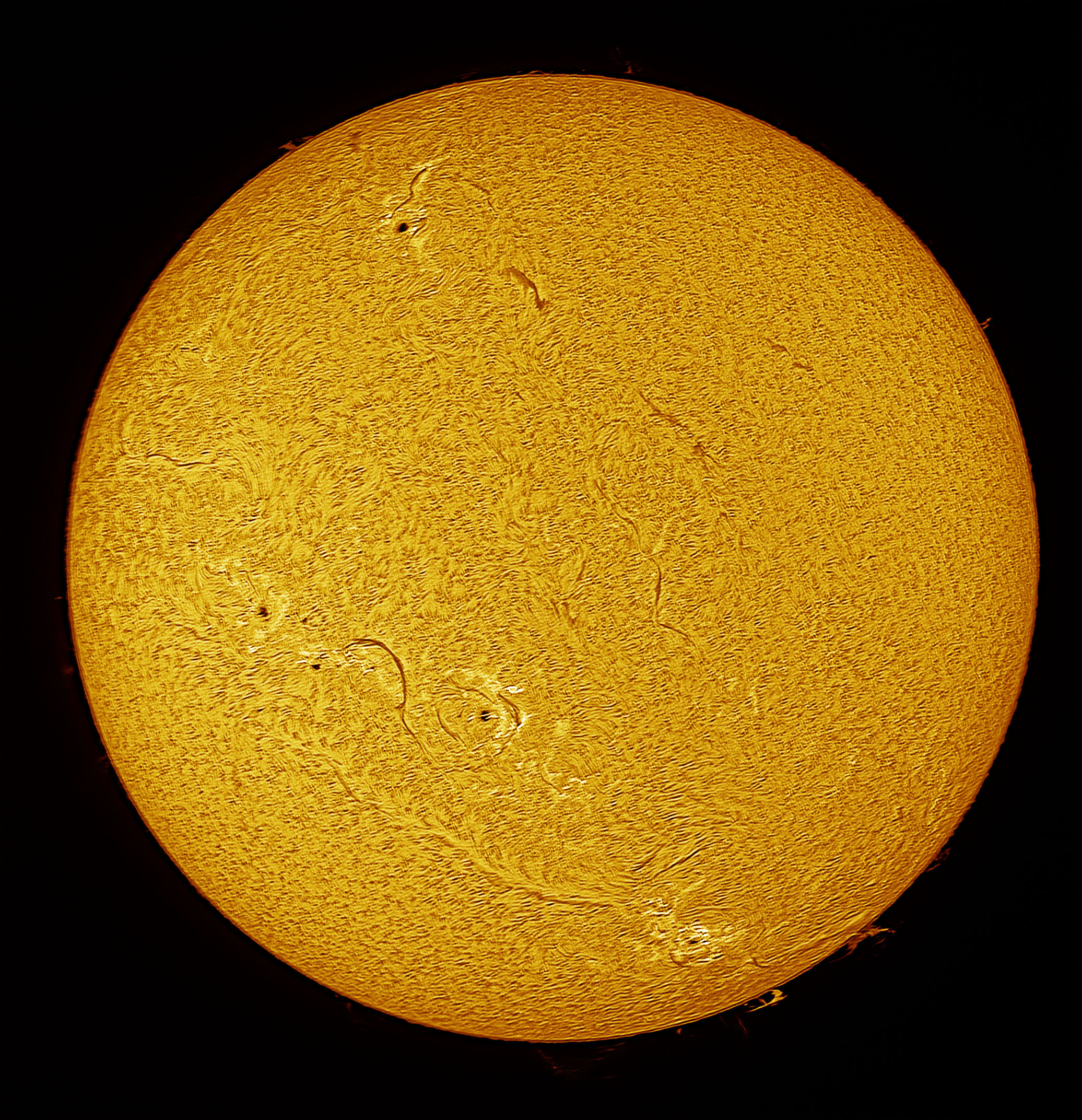 2024-09-07-0619_Ha-Sun.jpg