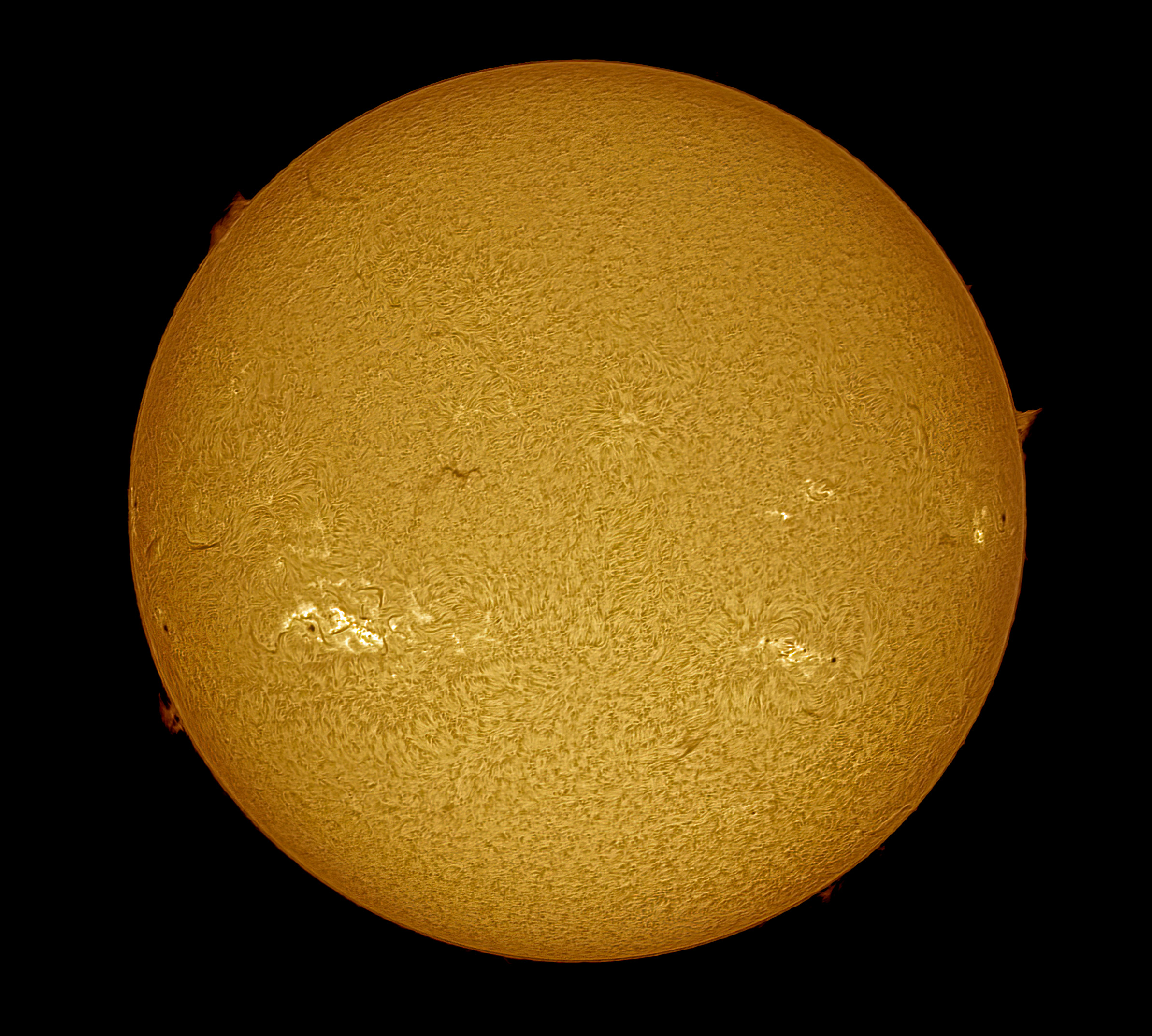 2024-09-16-1258-Ha-Sun.jpg