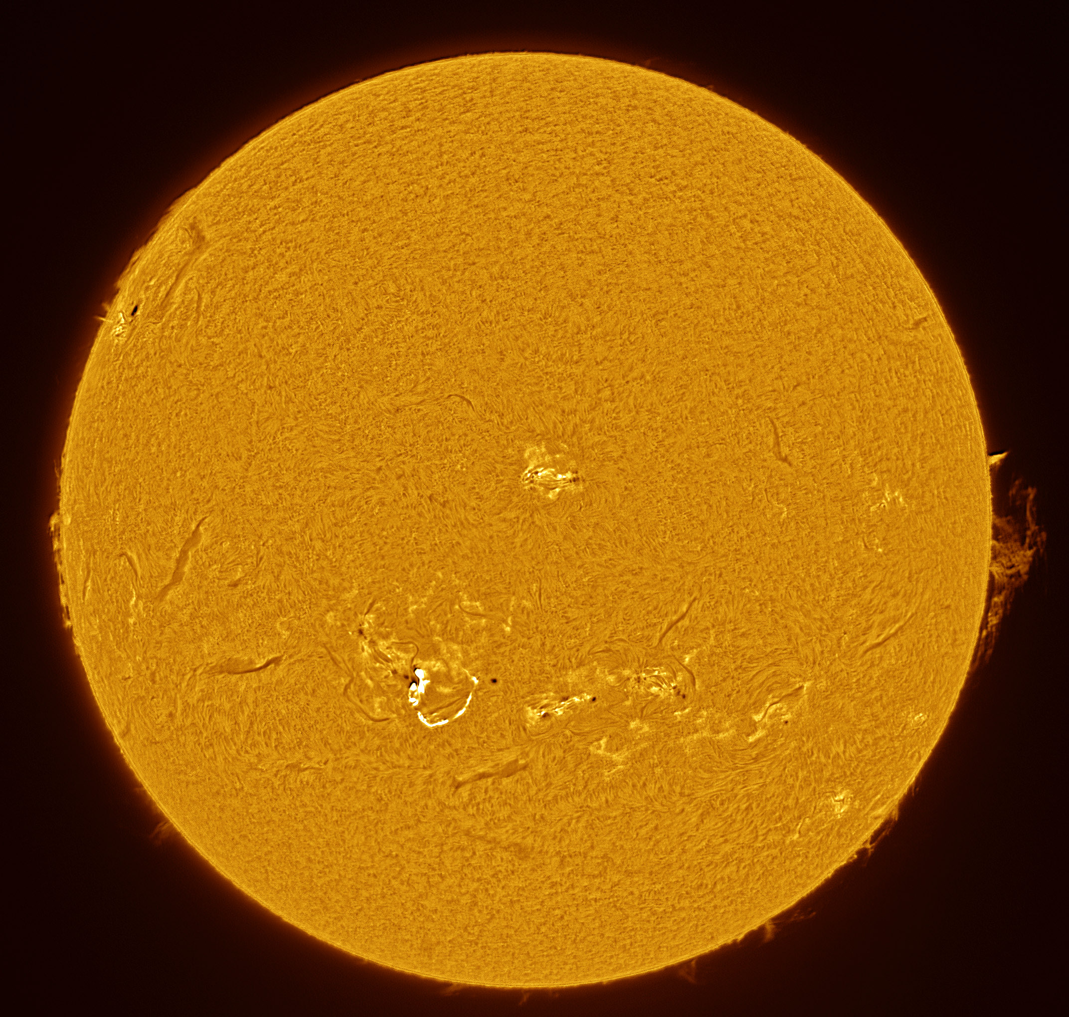 2024-10-02-1334-Ha-.jpg