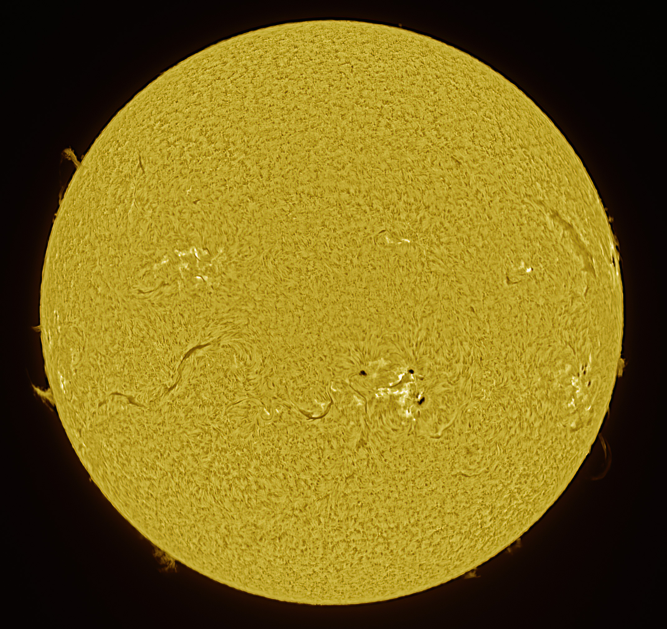 2024-10-14-1240_3-Ha.jpg