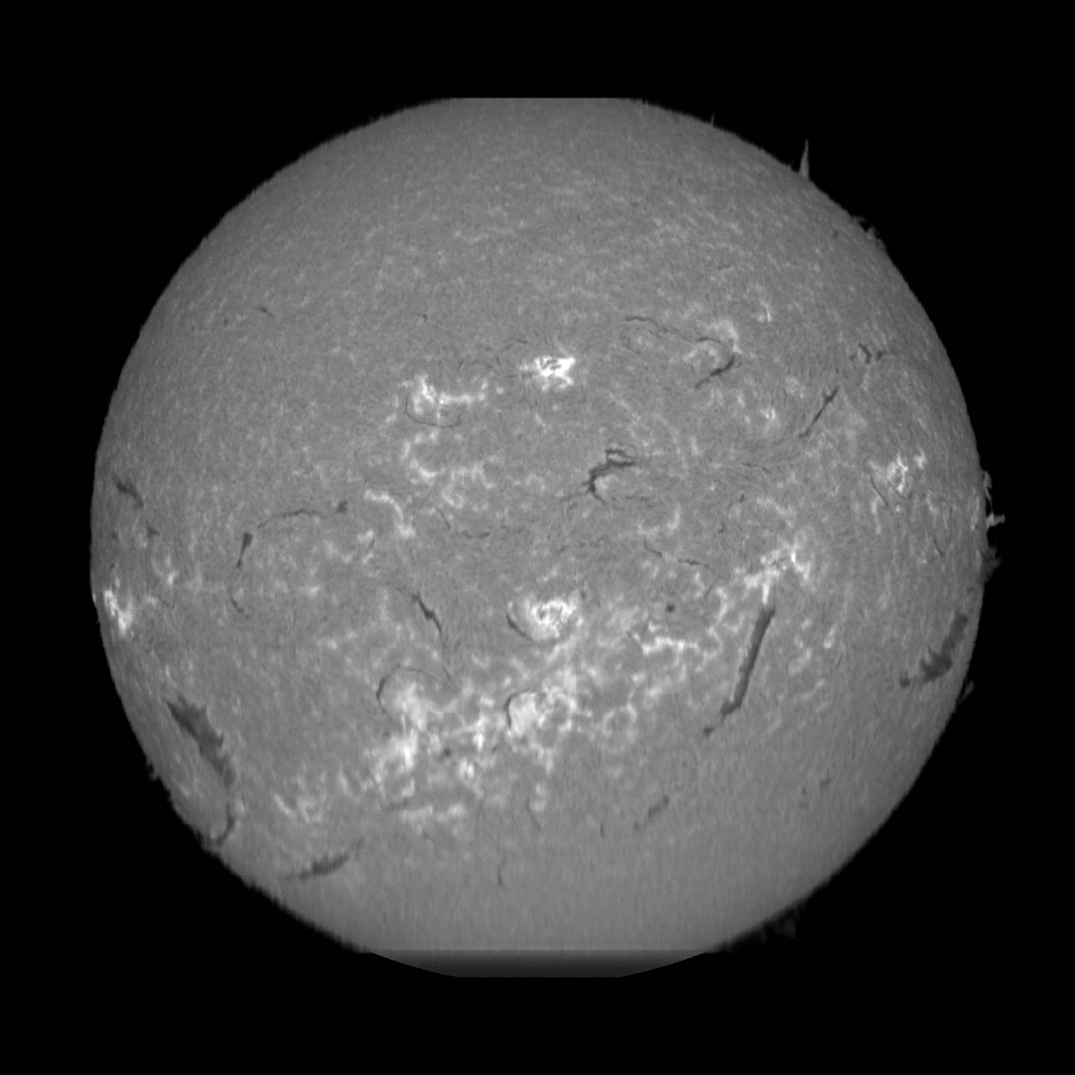 2024-10-28-1024.jpg