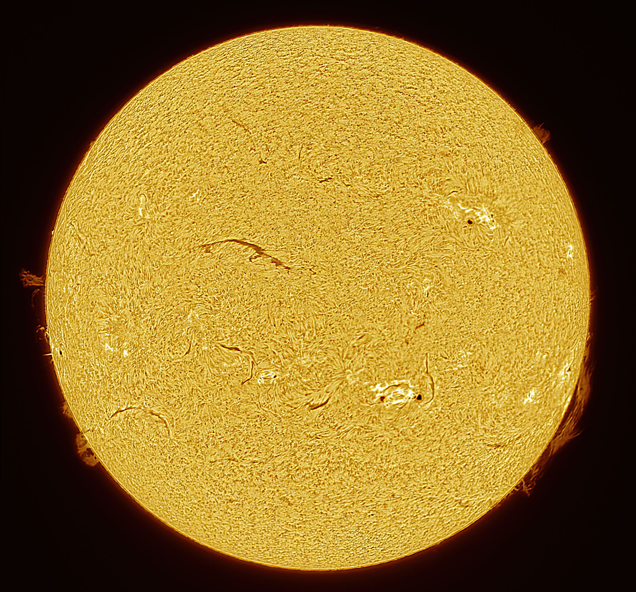 2024-12-15-1209_Ha.jpg