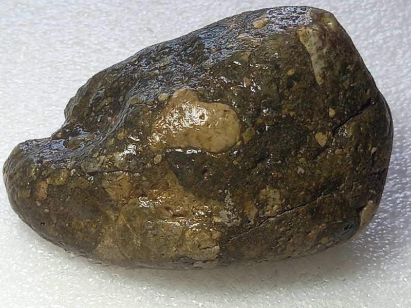 20250503_112014.jpg