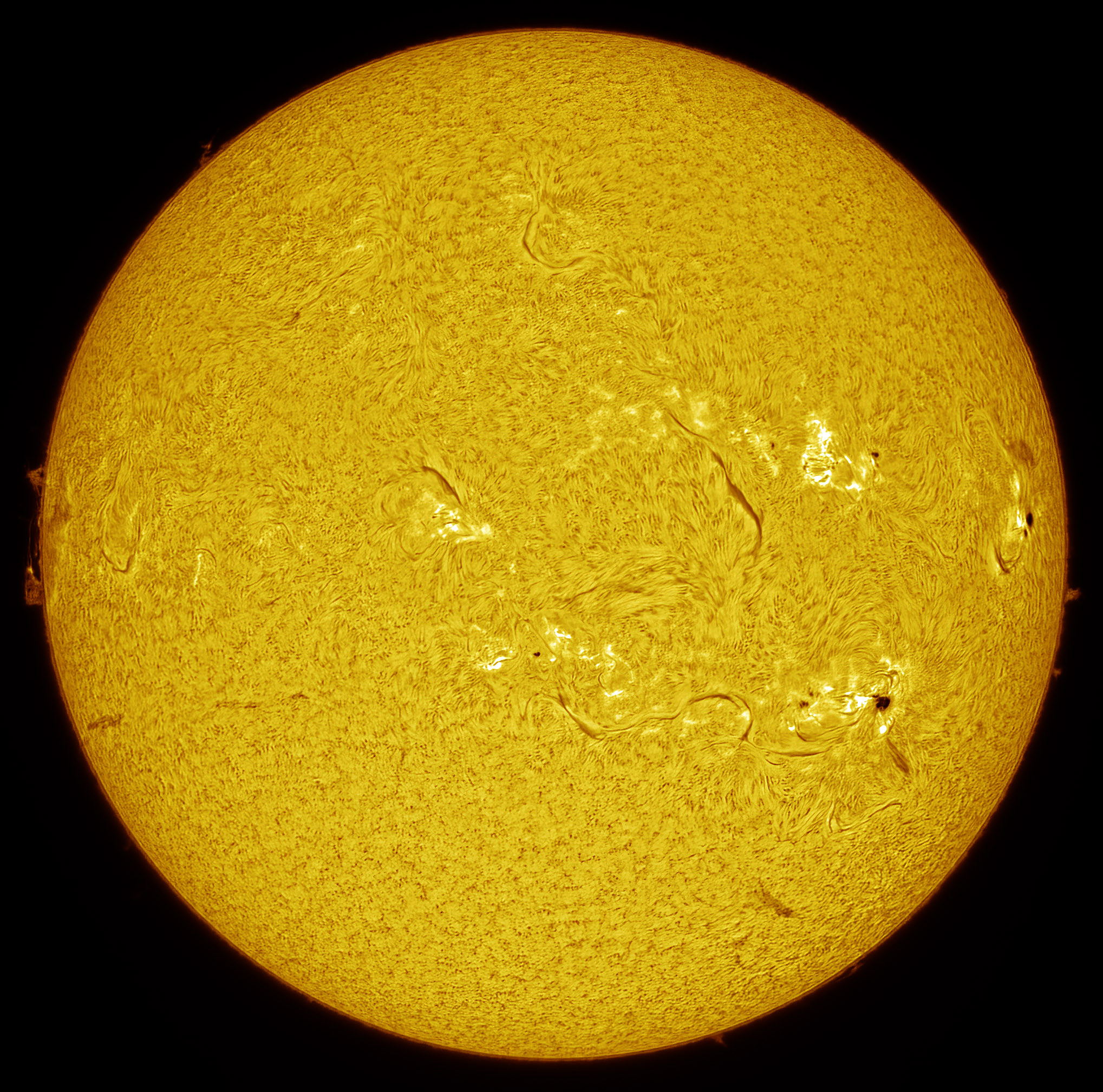 2025-01-23-1100_7-Ha-.jpg