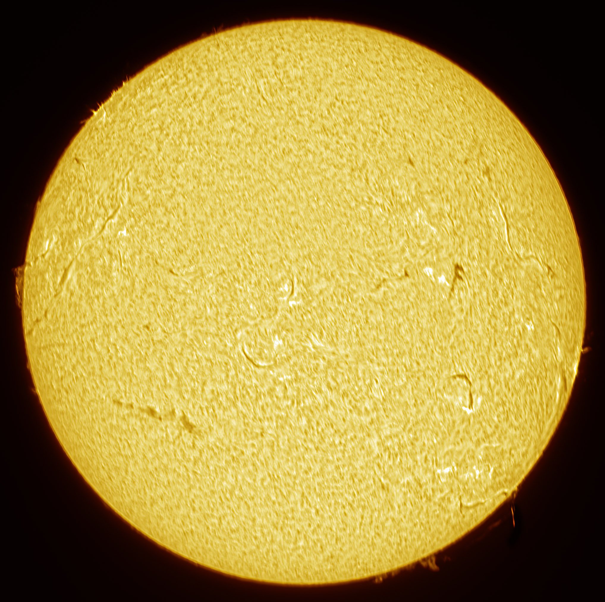 2025-01-27-1259_2-Ha-Sun.jpg