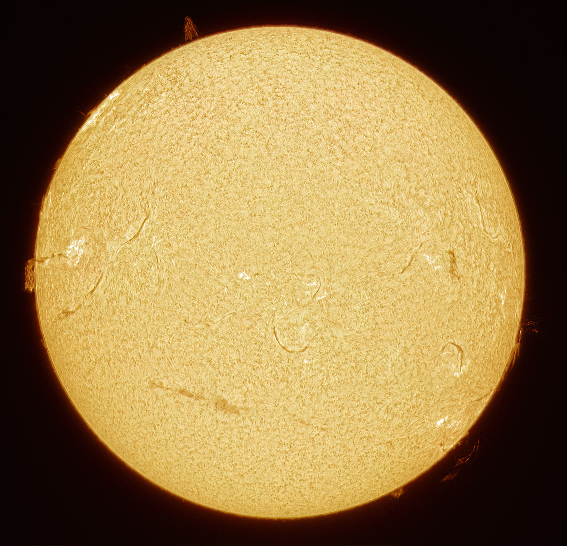 2025-01-28-1128-Ha-Sun.jpg