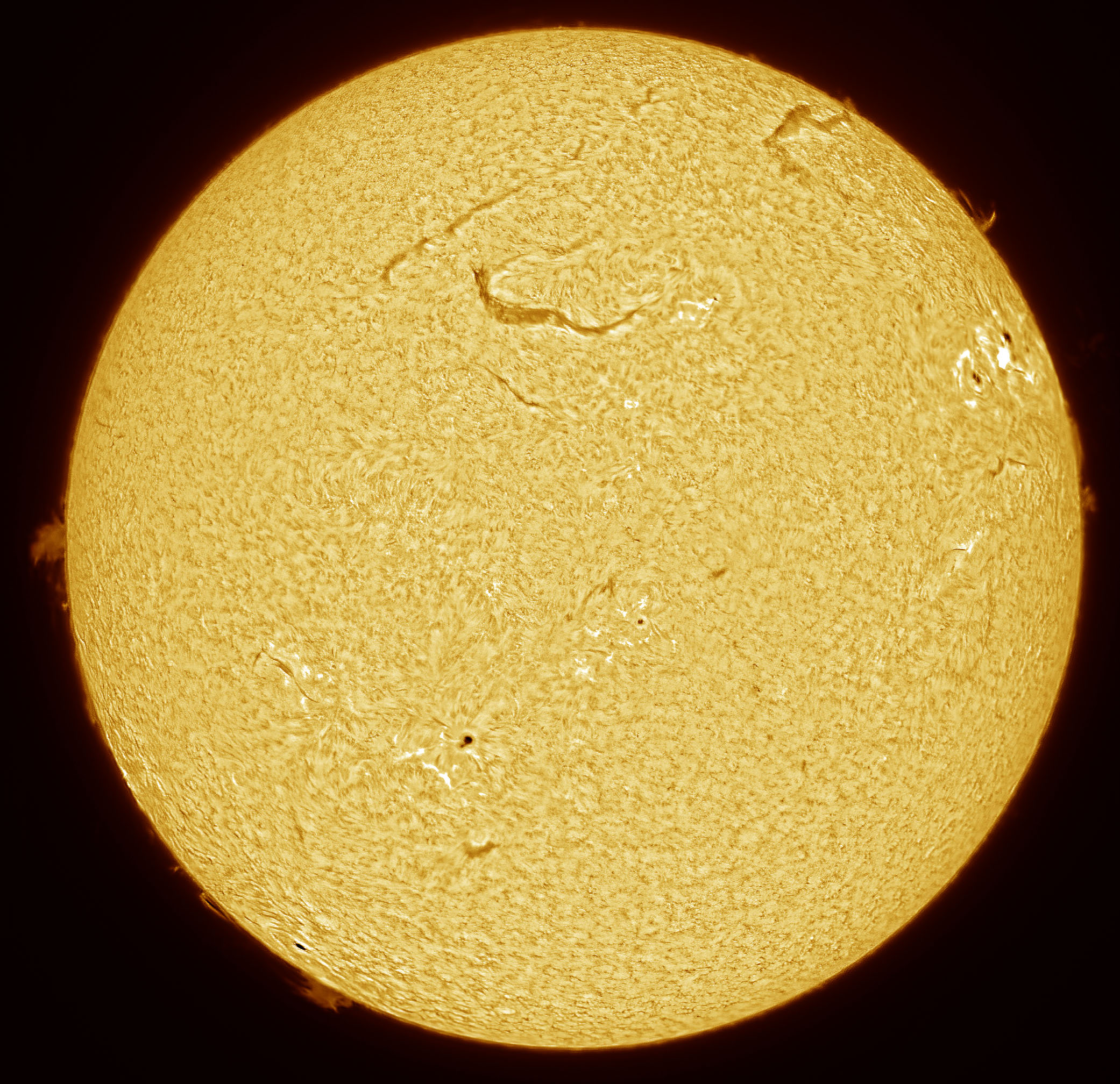2025-02-09-1156-Ha-S.jpg