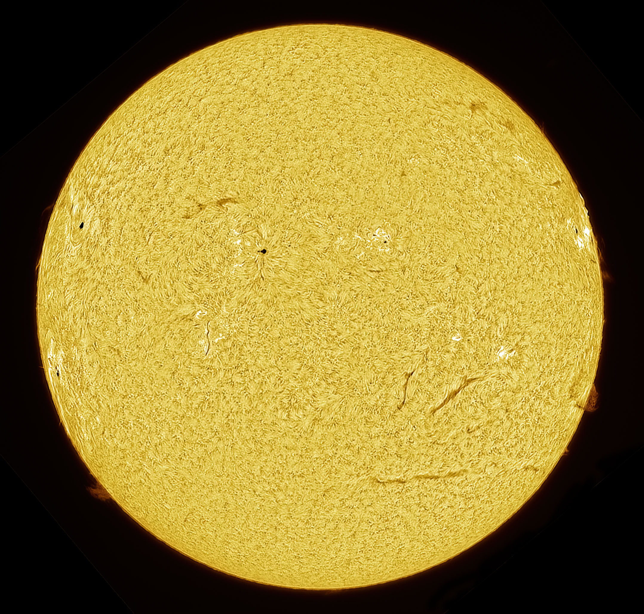2025-02-10-1206-Ha-Sun.jpg